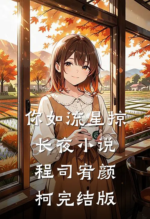 你如流星掠长夜小说程司宥颜柯完结版