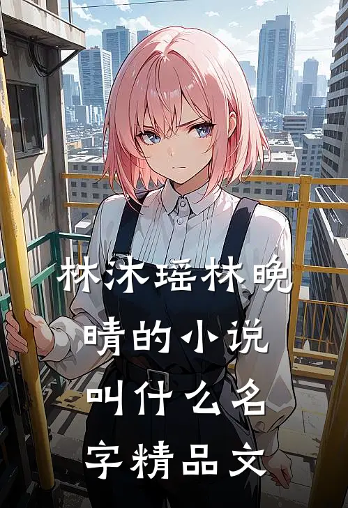 林沐瑶林晚晴的小说叫什么名字精品文