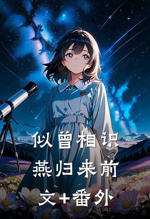 似曾相识燕归来前文+番外