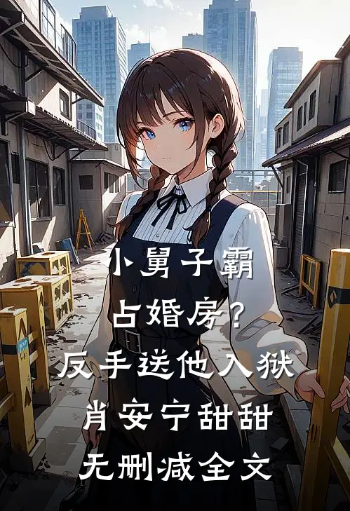 小舅子霸占婚房？反手送他入狱肖安宁甜甜无删减全文