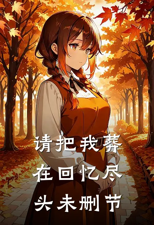 请把我葬在回忆尽头未删节
