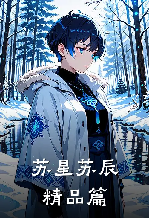苏星苏辰精品篇