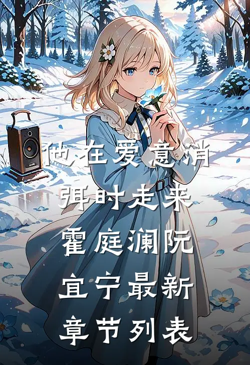 他在爱意消弭时走来霍庭澜阮宜宁最新章节列表