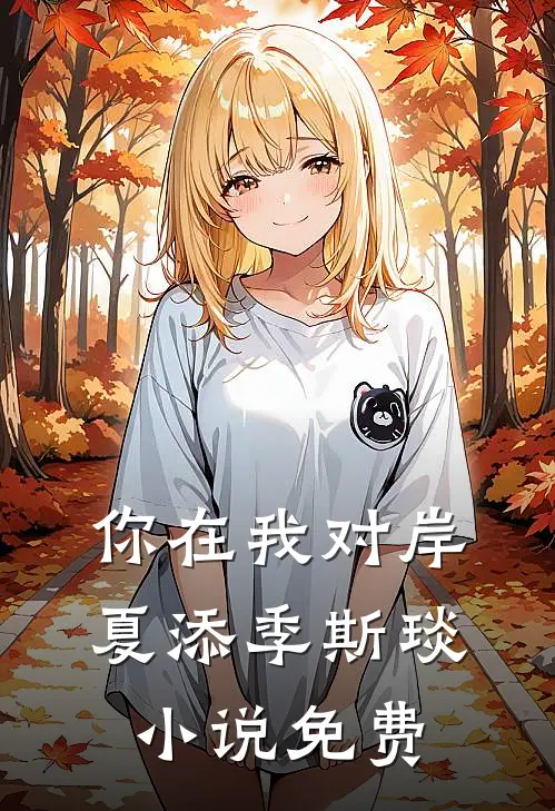 你在我对岸夏添季斯琰小说免费