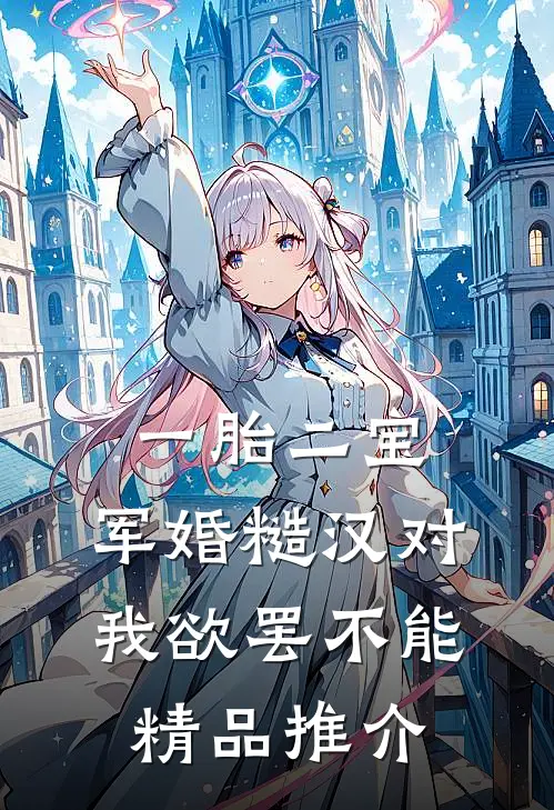 一胎二宝，军婚糙汉对我欲罢不能精品推介