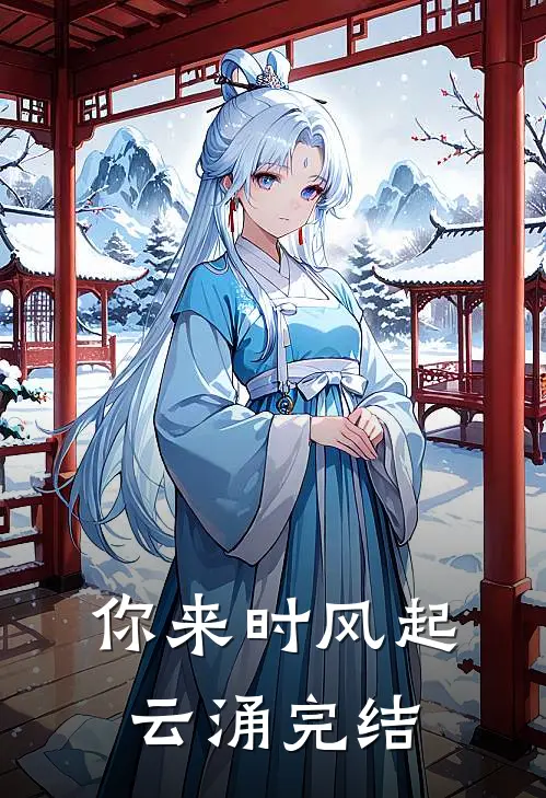 你来时风起云涌完结