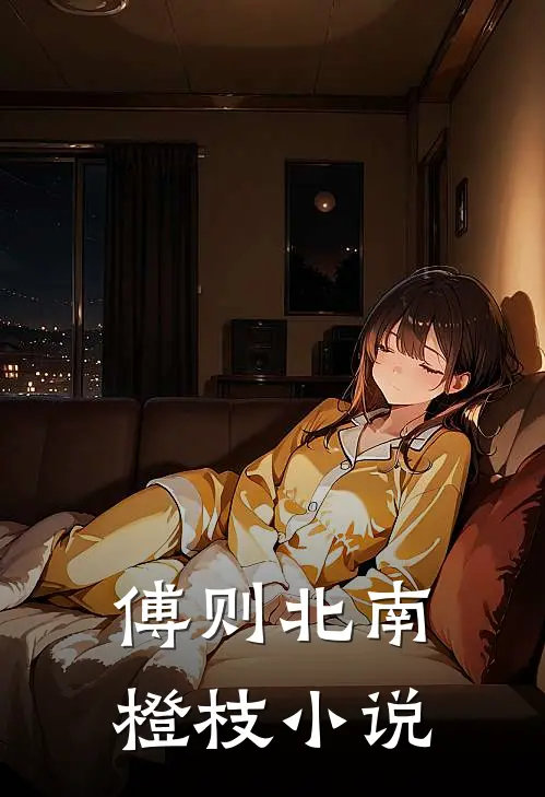傅则北南橙枝小说