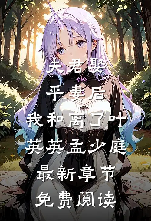 夫君娶平妻后，我和离了叶英英孟少庭最新章节免费阅读