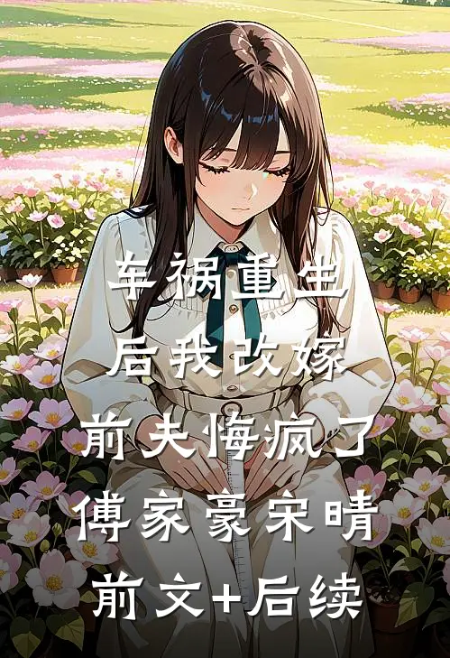 车祸重生后我改嫁，前夫悔疯了傅家豪宋晴前文+后续