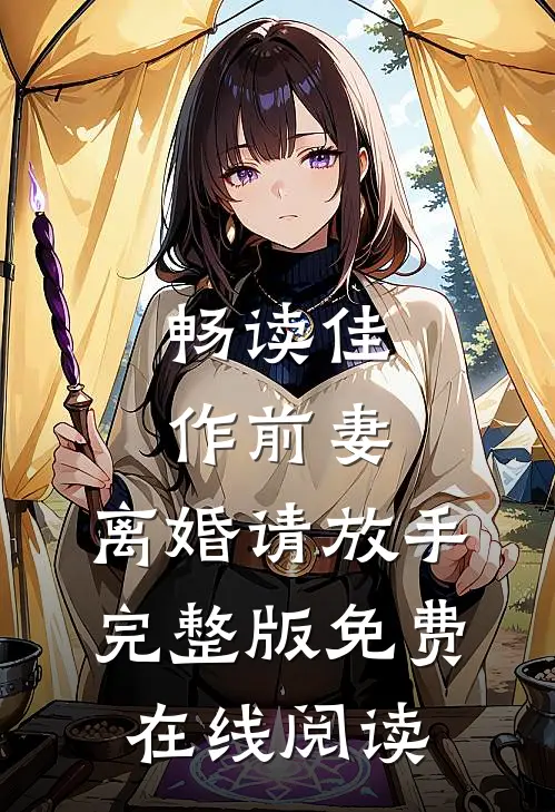 畅读佳作前妻，离婚请放手完整版免费在线阅读