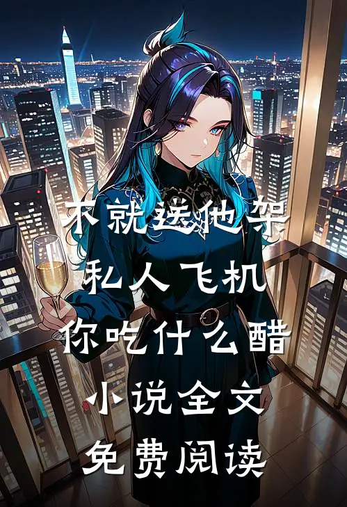 不就送他架私人飞机，你吃什么醋小说全文免费阅读