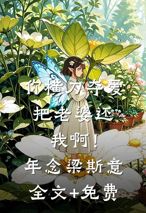 你横刀夺爱，把老婆还我啊！年念梁斯意全文+免费