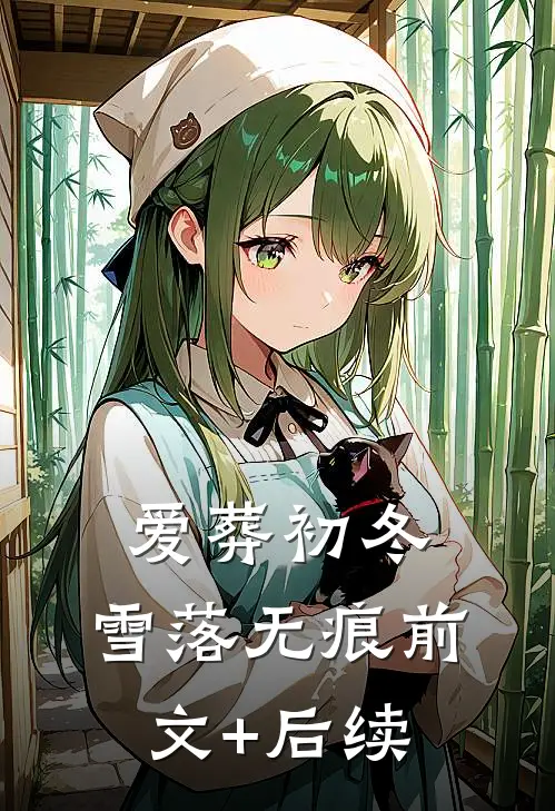 爱葬初冬，雪落无痕前文+后续