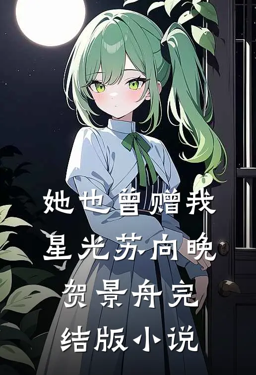 她也曾赠我星光苏向晚贺景舟完结版小说