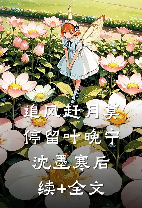 追风赶月莫停留叶晚宁沈墨寒后续+全文