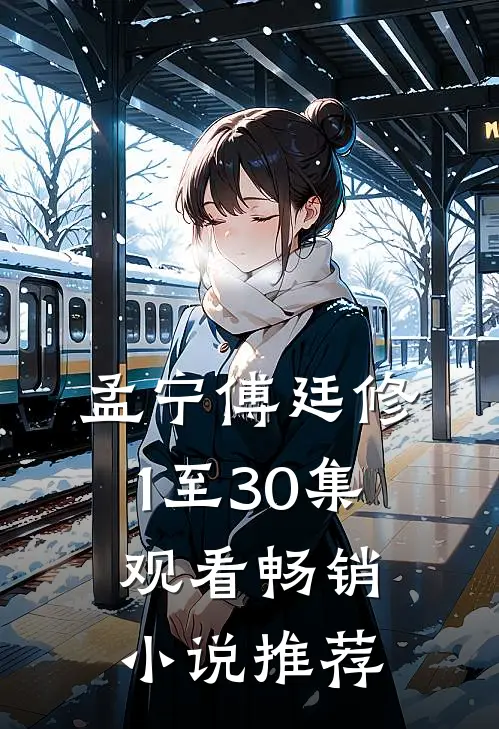 孟宁傅廷修1至30集观看畅销小说推荐