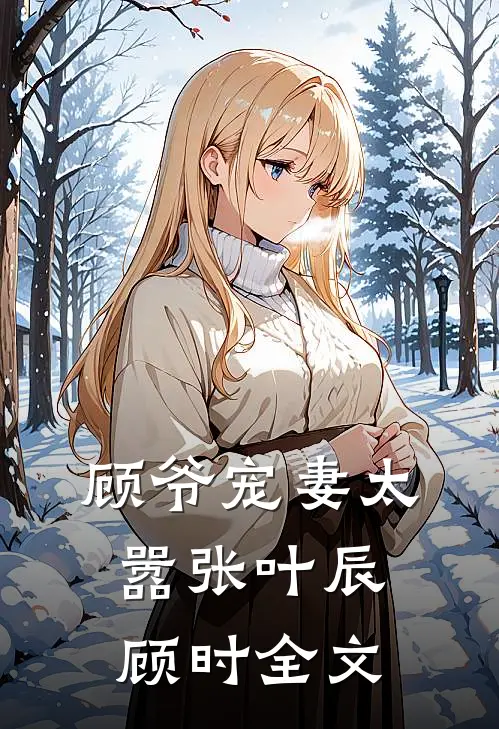 顾爷宠妻太嚣张叶辰顾时全文
