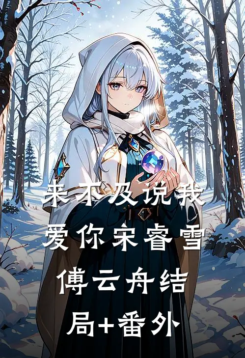 来不及说我爱你宋睿雪傅云舟结局+番外