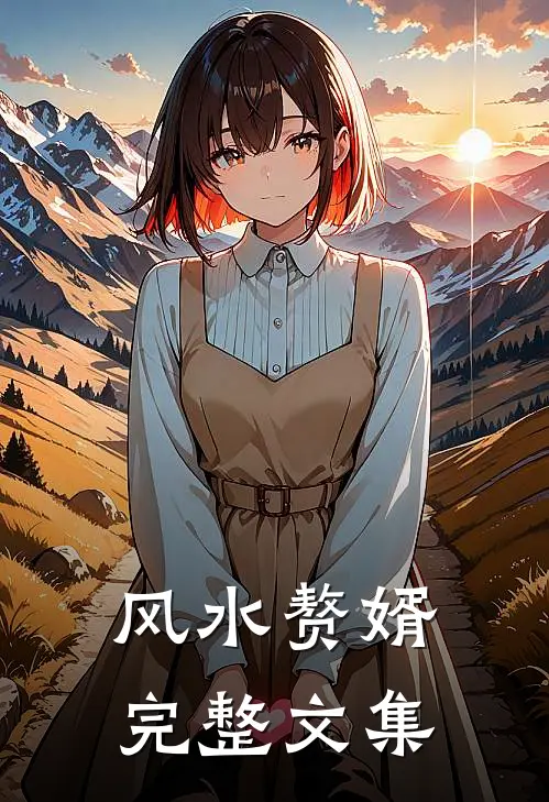 风水赘婿完整文集