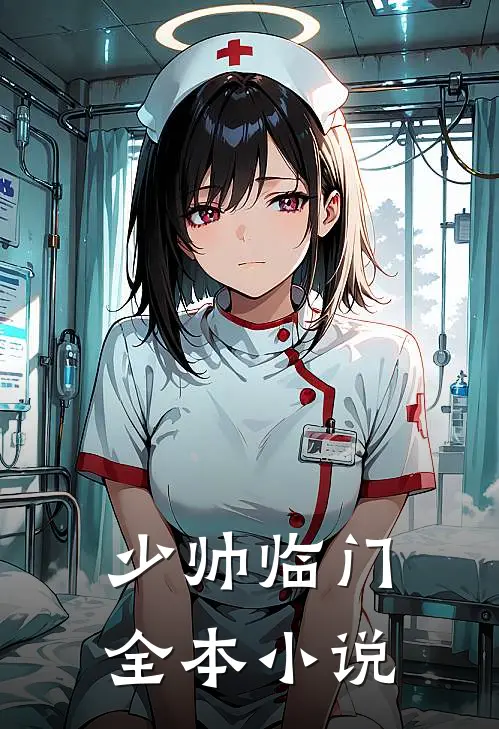 少帅临门全本小说