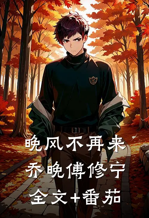 晚风不再来乔晚傅修宁全文+番茄