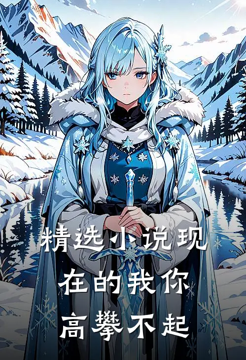 精选小说现在的我你高攀不起