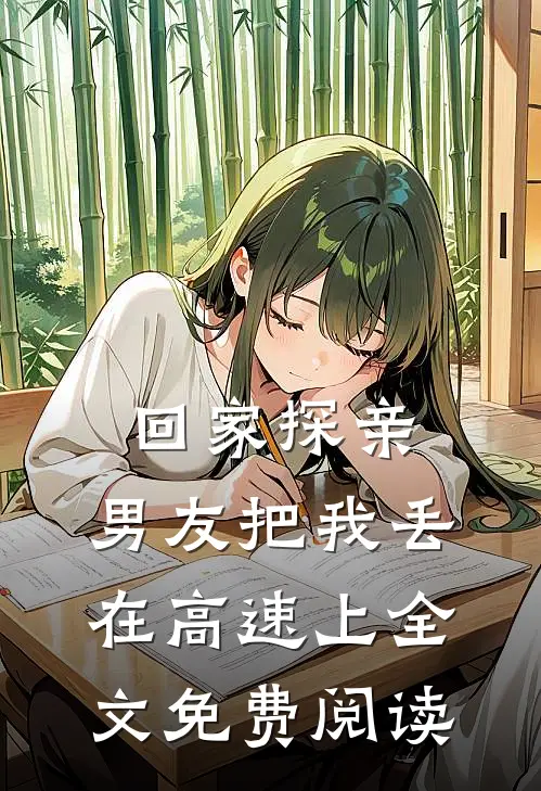 回家探亲，男友把我丢在高速上全文免费阅读