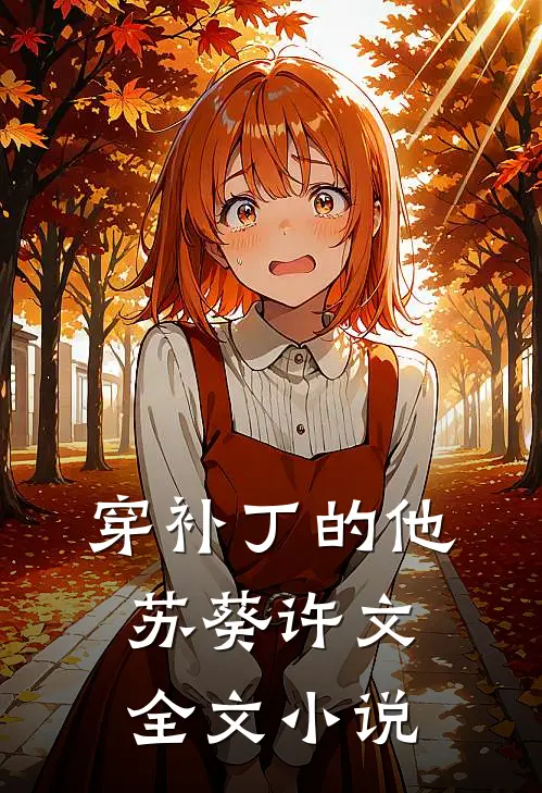 穿补丁的他苏葵许文全文小说