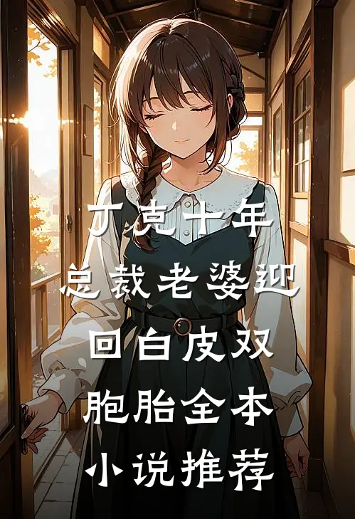 丁克十年，总裁老婆迎回白皮双胞胎全本小说推荐