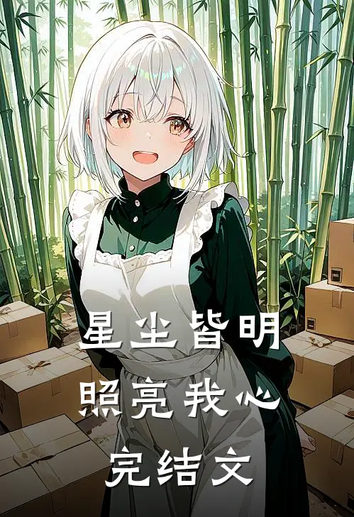 星尘皆明，照亮我心完结文