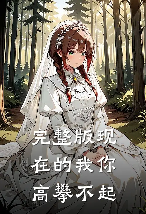 完整版现在的我你高攀不起