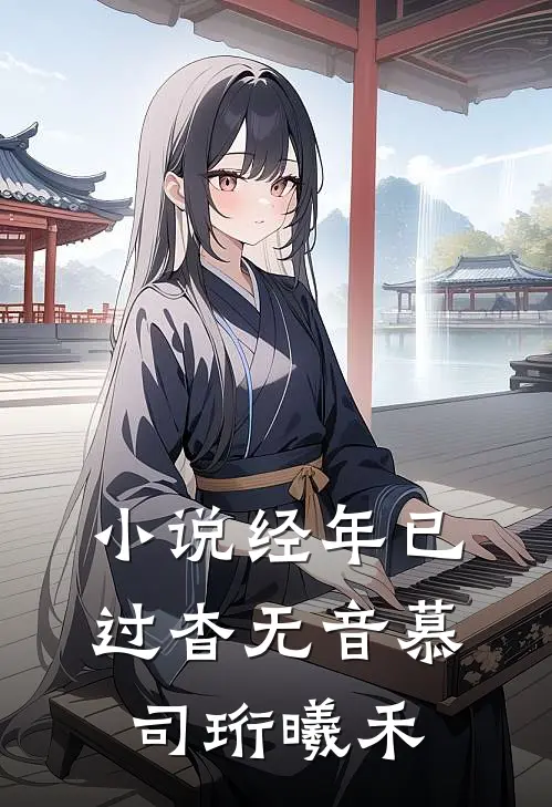 小说经年已过杳无音(慕司珩曦禾)