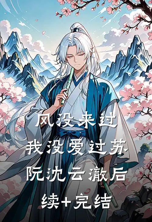 风没来过，我没爱过苏阮沈云澈后续+完结
