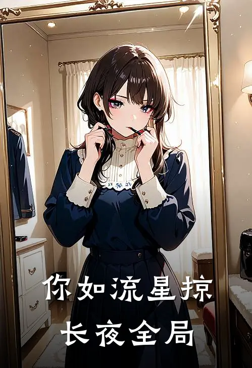 你如流星掠长夜全局