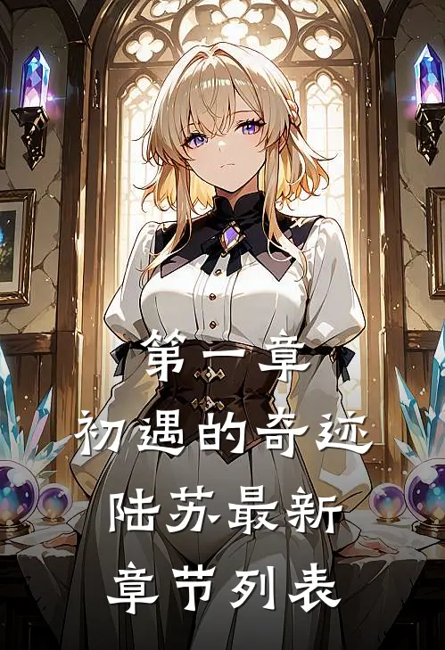 第一章：初遇的奇迹陆苏最新章节列表
