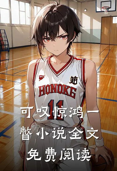 可叹惊鸿一瞥小说全文免费阅读